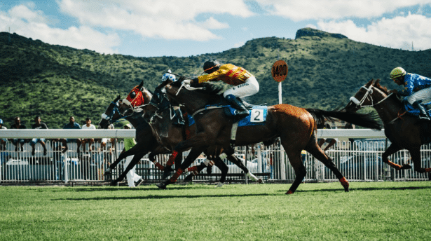 Bets On Horse Races