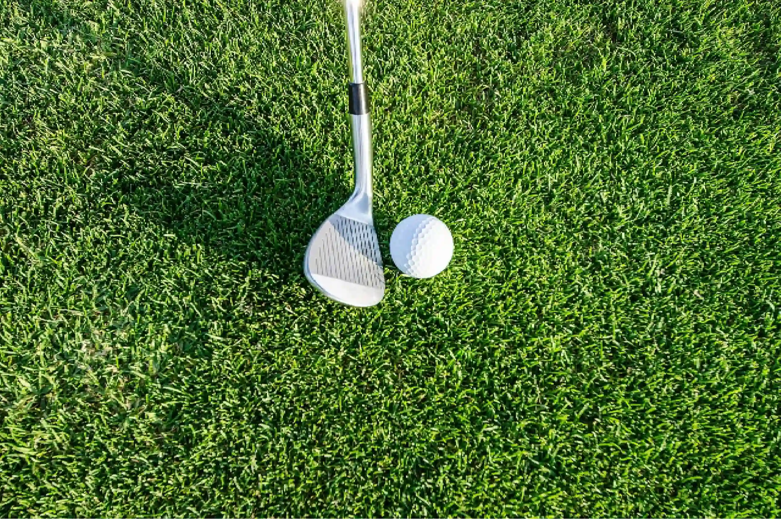 The Open